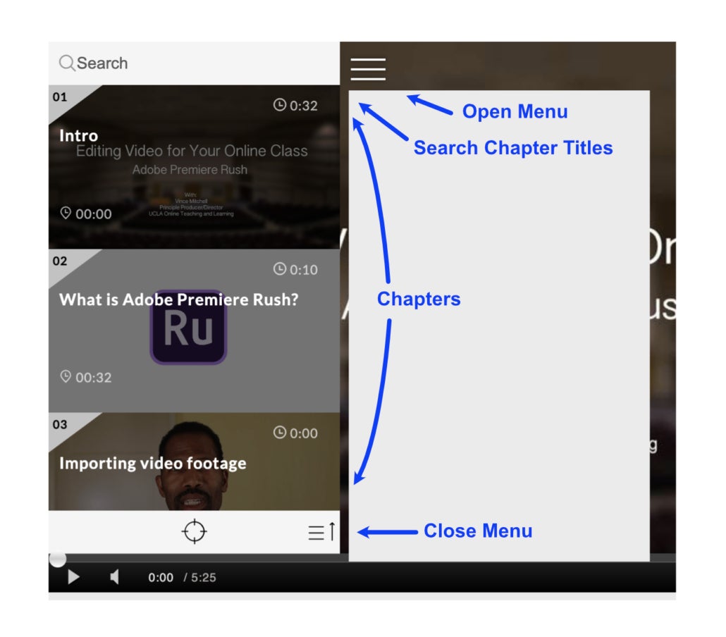 Preview of video showing chapter menu, list, and search bar